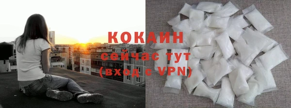 прущие грибы Покровск