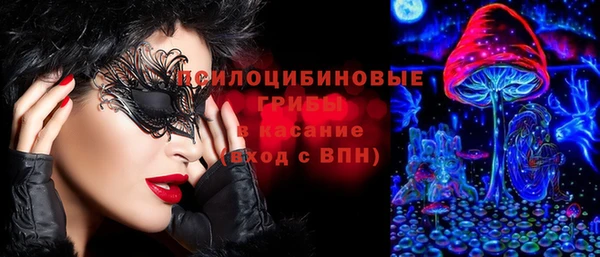 а пвп мука Богданович