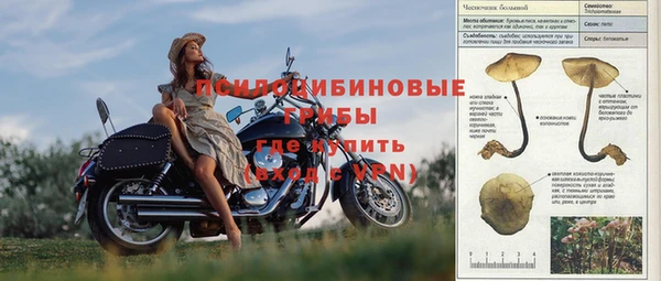 кокаин Белокуриха