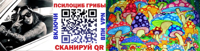 Галлюциногенные грибы Psilocybine cubensis  цены наркотик  KRAKEN   Малая Вишера 